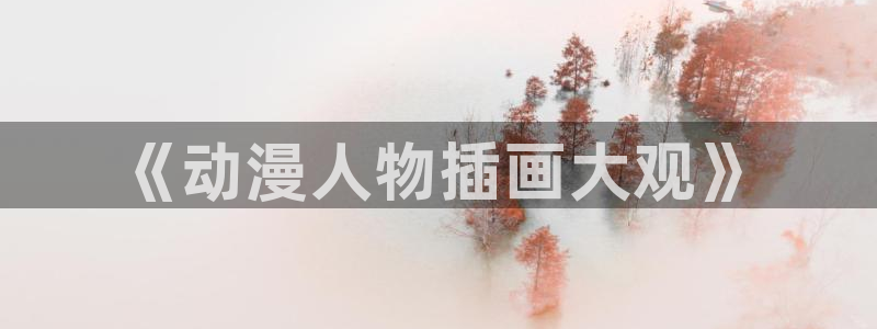 age专注动漫的门户网站：《动漫人物插画大观》