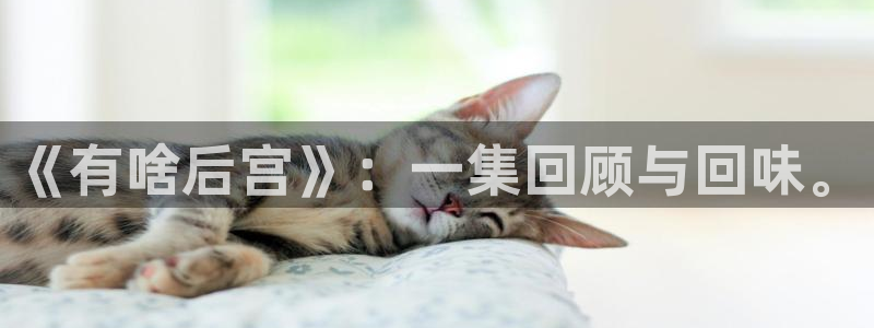 age动漫正版网：《有啥后宫》：一集回顾与回味。