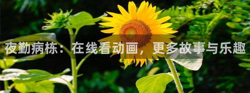 拷贝漫画 copymanager.ory网站：夜勤病栋：在线看动画，更多故事与乐趣