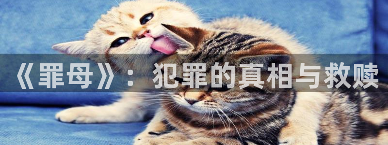 colamanage漫画下载：《罪母》：犯罪的真相与救赎