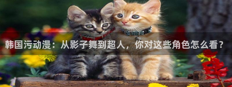 age动漫网下载：韩国污动漫：从影子舞到超人，你对这些角色怎么看？