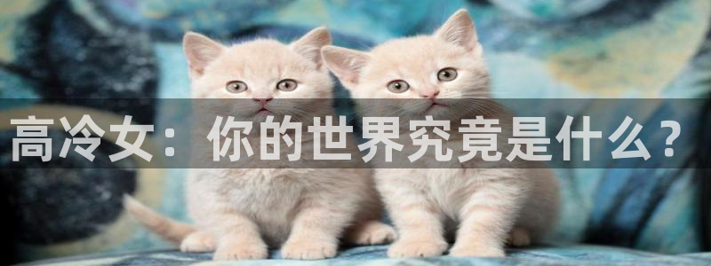 age动漫官网樱花动漫：高冷女：你的世界究竟是什么？