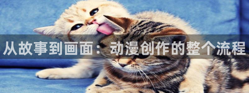 volcanicage漫画：从故事到画面：动漫创作的整个流程