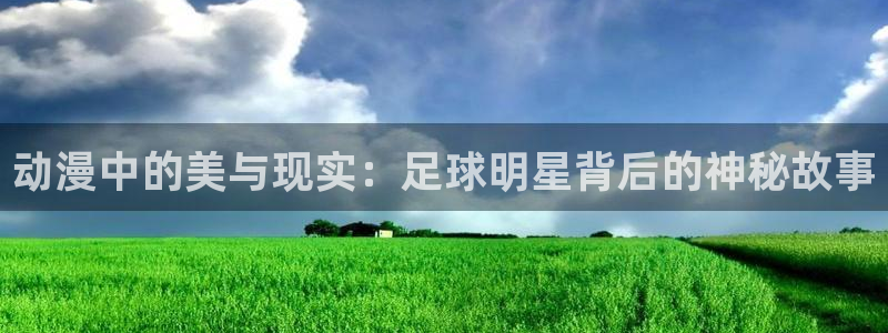 colamanage漫画官网：动漫中的美与现实：足球明星背后的神秘故事