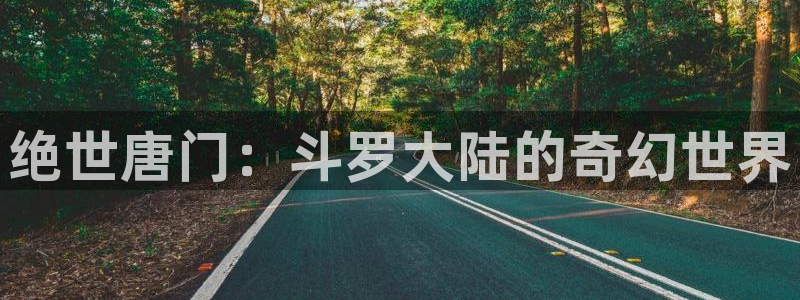 age动漫网上看：绝世唐门：斗罗大陆的奇幻世界