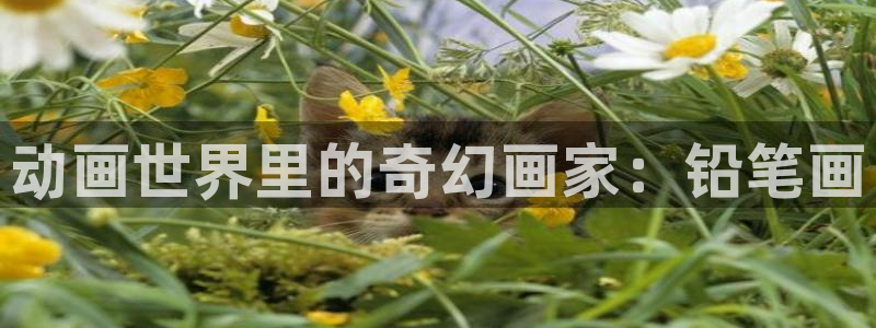 age动漫专注动漫的门户网站：动画世界里的奇幻画家：铅笔画