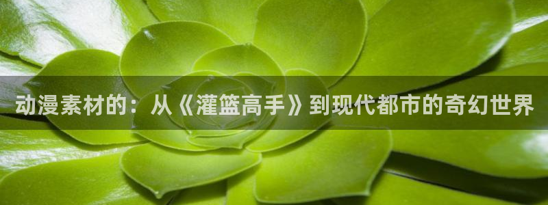 age动漫网下载：动漫素材的：从《灌篮高手》到现代都市的奇幻世界