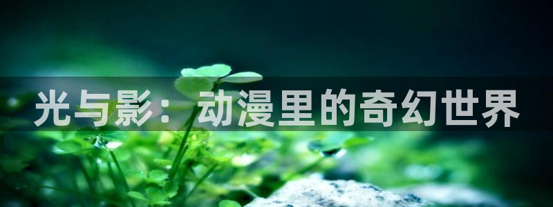 age专注动漫的门户网站：光与影：动漫里的奇幻世界