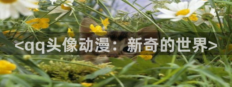 age动漫官网版入口：<qq头像动漫：新奇的世界>