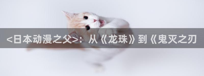 在线动画动漫下载age动漫：<日本动漫之父>：从《龙珠》到《鬼灭之刃
