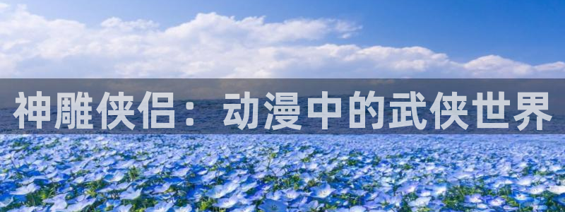 在线动画动漫下载age动漫：神雕侠侣：动漫中的武侠世界