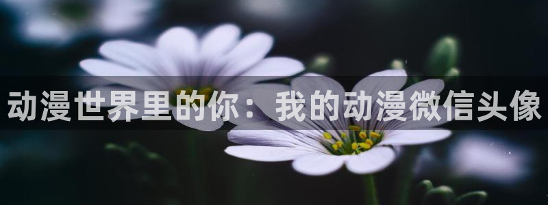 colamanage漫画下载：动漫世界里的你：我的动漫微信头像