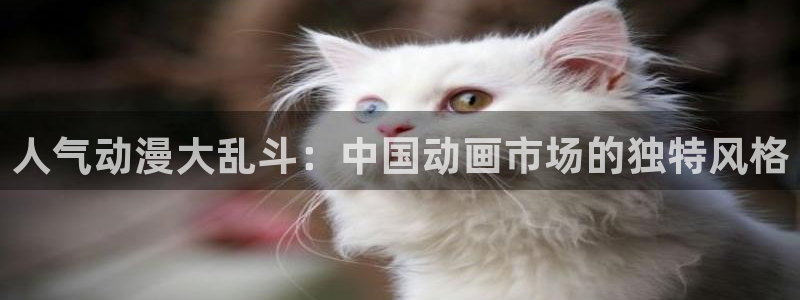 age动漫正版网：人气动漫大乱斗：中国动画市场的独特风格