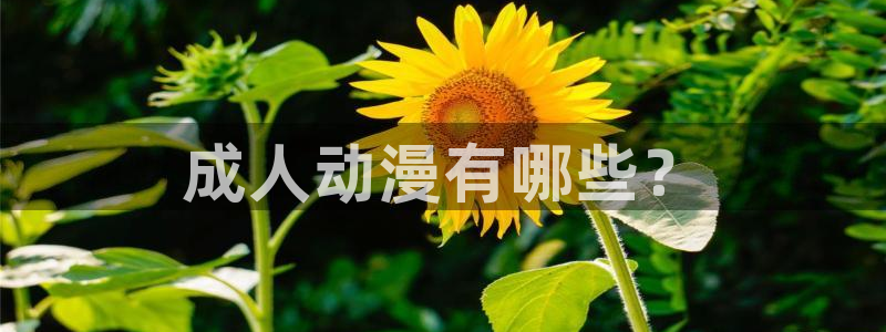 colomanage漫画官网：成人动漫有哪些？